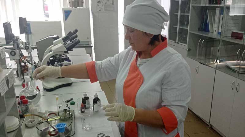 Патологоанатомическое вскрытие животного (собаки, кошки, кролика) в г. Раменское Московской области