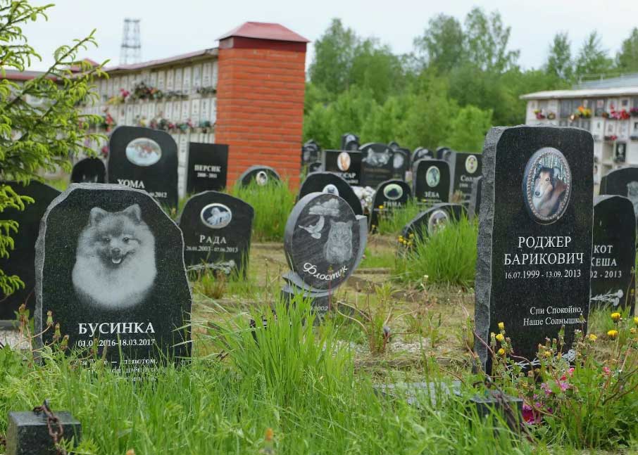 Захоронения животных (собаки, кошкам) в г. Раменское Московской области
