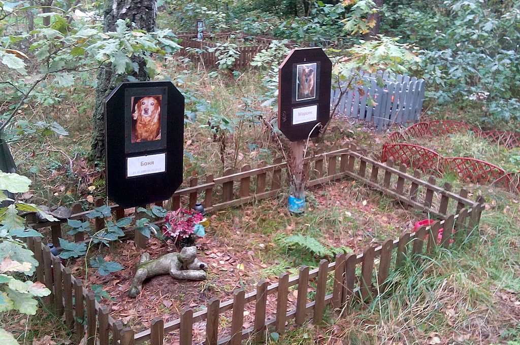 Похоронить животное на официальном кладбище домашних животных в г. Раменское Московской области
